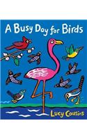 A Busy Day for Birds