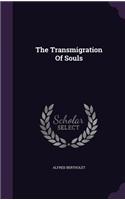 The Transmigration Of Souls