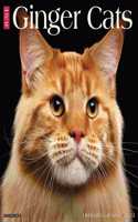 Just Ginger Cats 2023 Wall Calendar