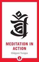 Meditation in Action