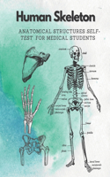 Human Skeleton, Anatomical structures self-test for medical students