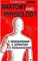 Elementary Human Anatomy And Physiology