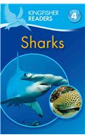 Kingfisher Readers L4: Sharks