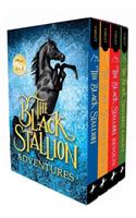 The Black Stallion Adventures