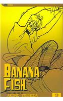 Banana Fish, Volume 3