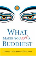 What Makes You Not a Buddhist