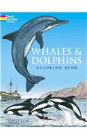 Whales and Dolphins: Colouring Book