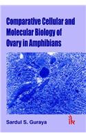 Comparative Cellular and Molecular Biology in Ovary in Amphibia