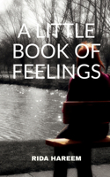 Little Book of Feelings