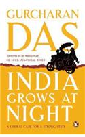 India Grows at Night