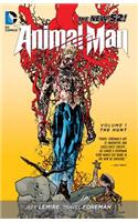 Animal Man, Volume 1: The Hunt