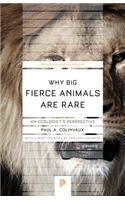 Why Big Fierce Animals Are Rare