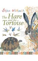 The Hare and the Tortoise