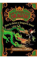 How to Train Your Dragon: How to Seize a Dragon's Jewel