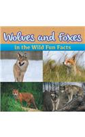 Wolves and Foxes in the Wild Fun Facts