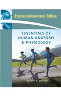 Essentials of Human Anatomy and Physiology