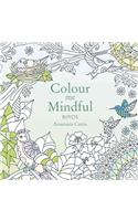 Colour Me Mindful: Birds