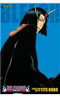 Bleach (3-in-1 Edition), Vol. 13