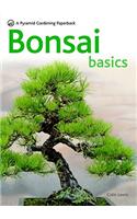 Bonsai Basics