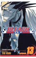 Bleach, Vol. 13