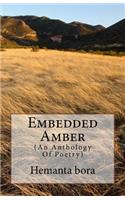 Embedded Amber