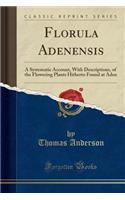 Florula Adenensis: A Systematic Account, with Descriptions, of the Flowering Plants Hitherto Found at Aden (Classic Reprint)