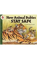 How Animal Babies Stay Safe