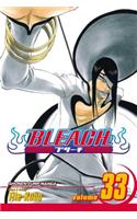 Bleach, Vol. 33