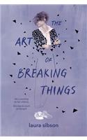 The Art of Breaking Things