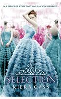 The Selection (1)  : The Selection