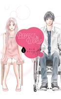 Perfect World 1