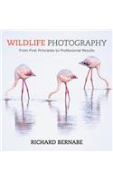 Wildlife Photography