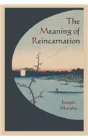 Meaning of Reincarnation