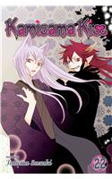 Kamisama Kiss, Vol. 22