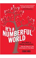 It's a Numberful World