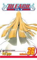 Bleach, Vol. 36