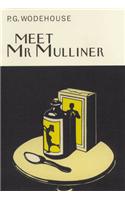 Meet Mr Mulliner