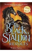 Black Stallion Revolts