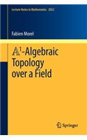 A1-Algebraic Topology Over a Field