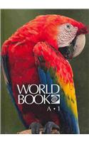 World Book Encyclopedia