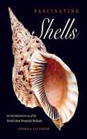 Fascinating Shells