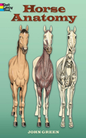 Horse Anatomy Coloring Book