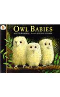 Owl Babies