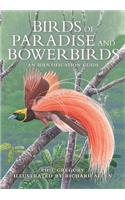 Birds of Paradise and Bowerbirds - An Identification Guide