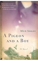 A Pigeon and a Boy