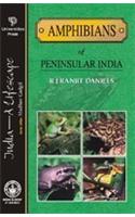 India: A Lifescape - Amphibians of Peninsular India