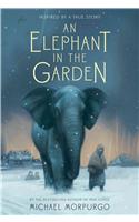 Elephant in the Garden