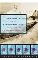 Whale and the Supercomputer