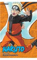 Naruto (3-in-1 Edition), Vol. 19