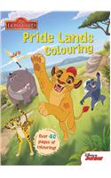 Disney Junior The Lion Guard Pride Lands Colouring